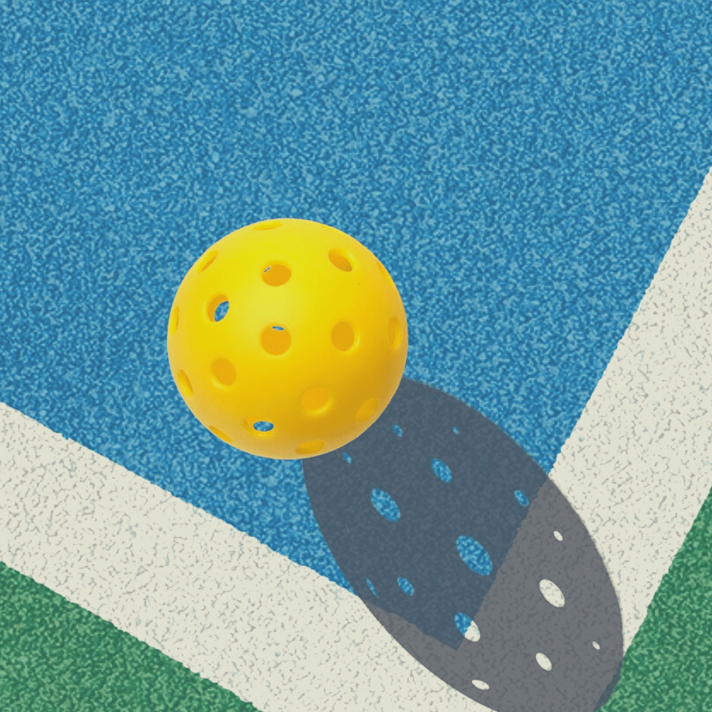 best pickleball shoes