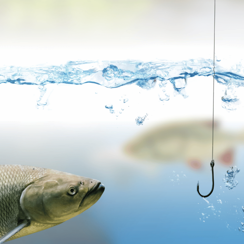 best fish hook removal tool