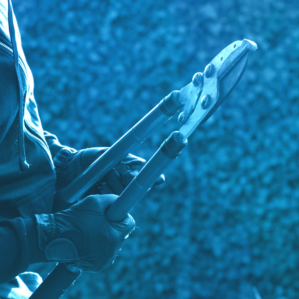 best bolt cutters for padlocks